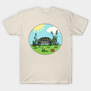 Terrific Turtle T-Shirt